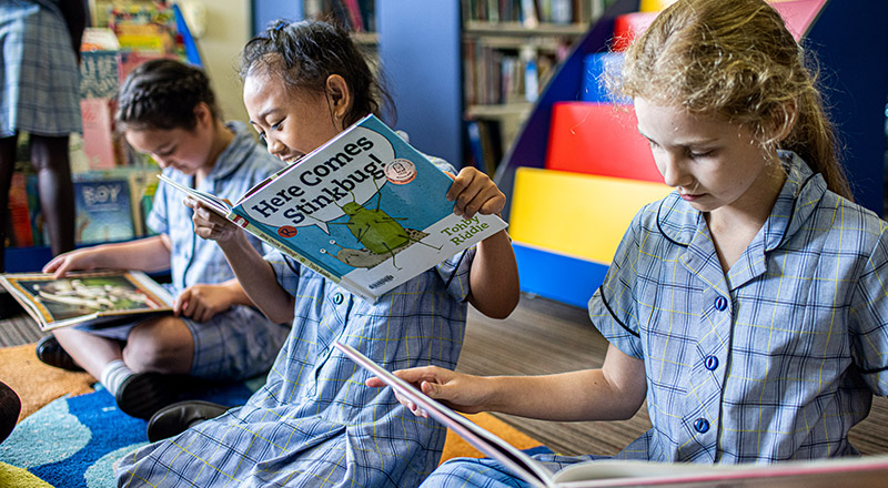 Student reading in Our Lady of the Rosary Catholic Primary School St Marys library