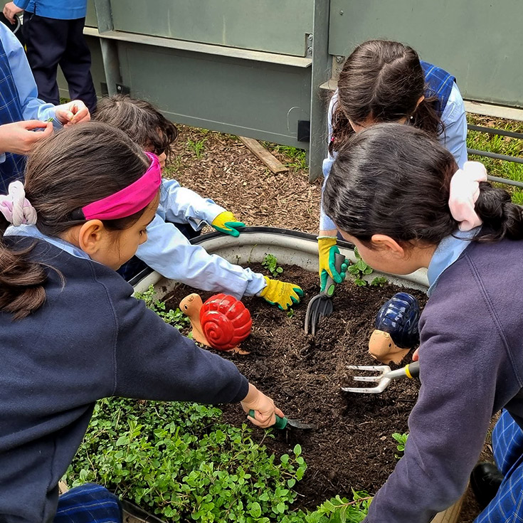 Children gardening at Our Lady of the Rosary Catholic Primary School St Marys