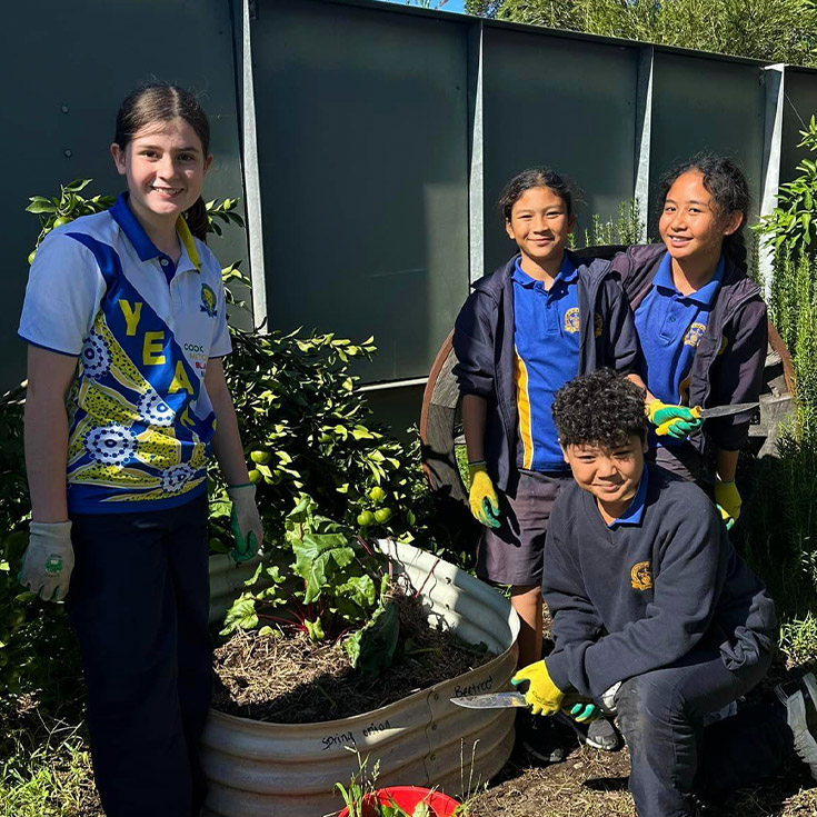 Students gardening at Our Lady of the Rosary Catholic Primary School St Marys