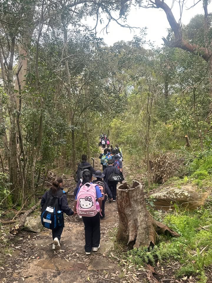 695060472018508_1339219717602577-1