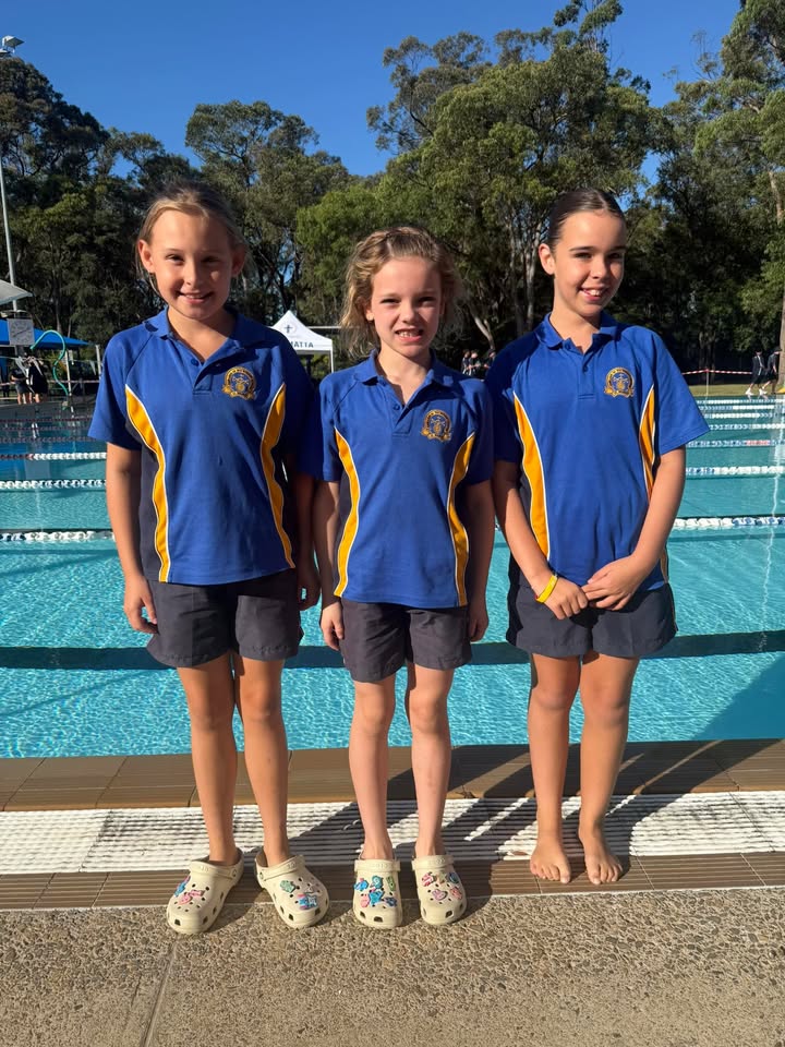 695060472018508_1479552630235951-1